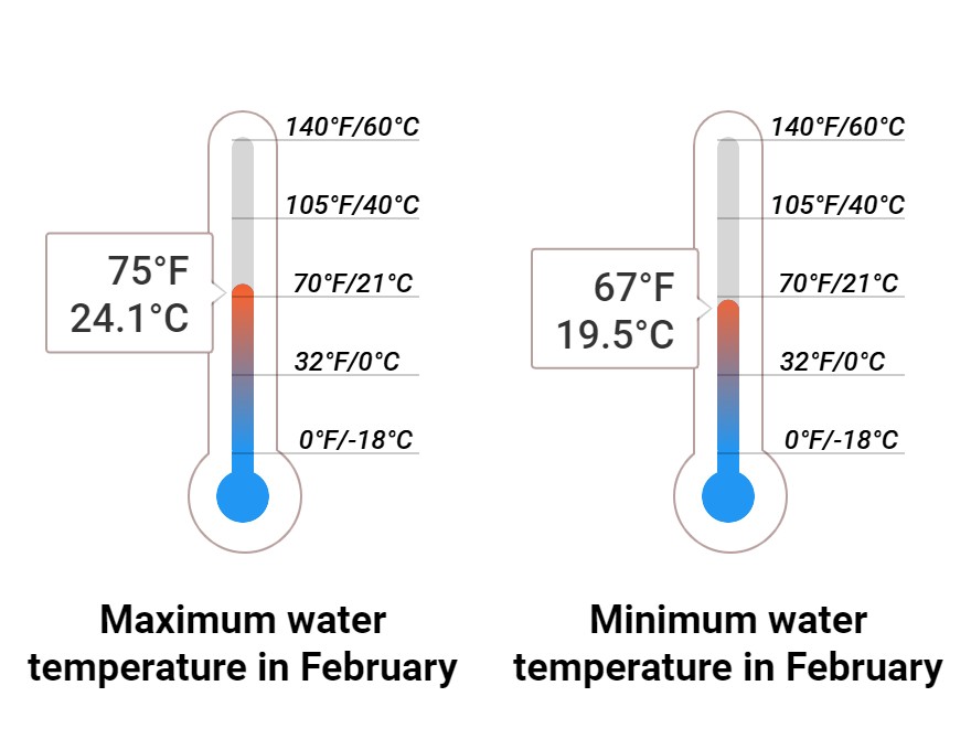 Average Sea temperature